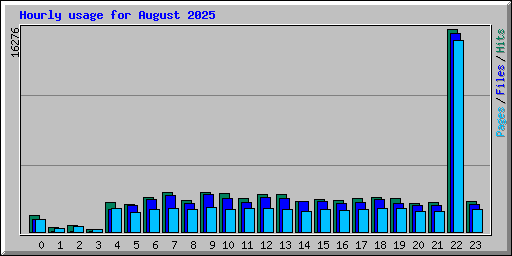 Hourly usage for August 2025