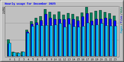 Hourly usage for December 2025